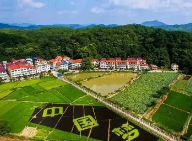 1718852059166440.png 微信截圖_20240620105410.png